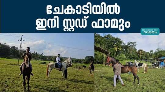 horse training center in chekadi one of the main paddocks in wayanad