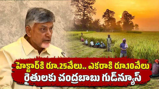 ap cm nara chanrababu naidu announces relief package for flood affected farmers