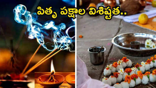 Pitru Paksha 2024 మహాలయ పక్షం అంటే ఏమిటి? ఈ కాలంలోనే శ్రాద్ధకర్మలు ఎందుకు నిర్వహిస్తారంటే...