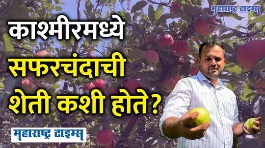 how kashmir apple farming is done what are the apple prices