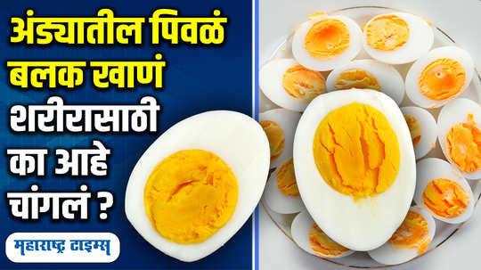 should eat egg yolks or not andyacha pivala bhag khava ki khau naye know all details in marathi watch video