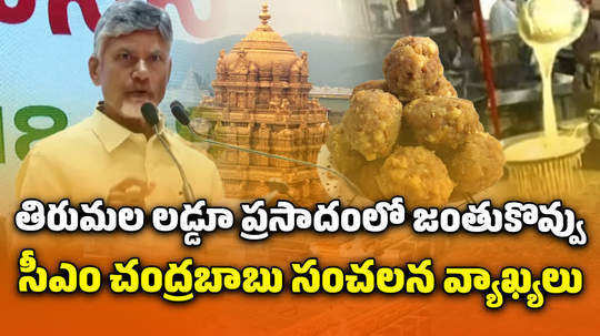 chandrababu naidu comments on tirumala laddu in mangalagiri nda legislative meeting