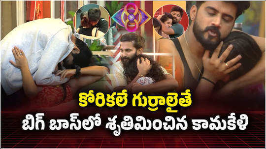 romance been overdosed in bigg boss telugu season 8