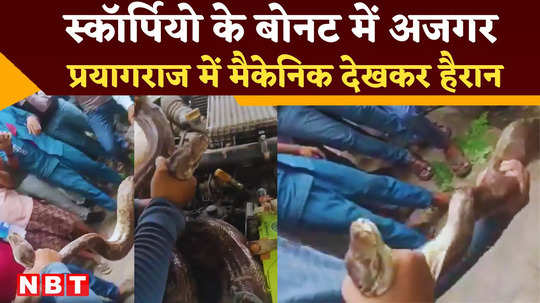 prayagraj scorpio bonnet 7 feet long python found then know what happend watch video