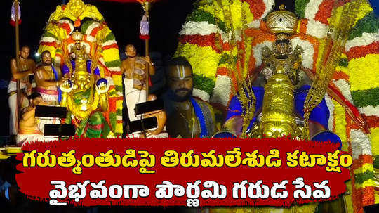 garuda seva observed on the occasion of pournami in tirumala