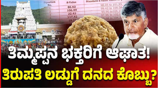 tirupati tirumala laddu beef pig fat fish oil found in ghee used in making prasada kmf issues clarification