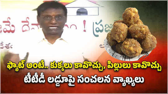 tdp leader anam venkataramana reddy comments on tirupati laddu ghee lab report