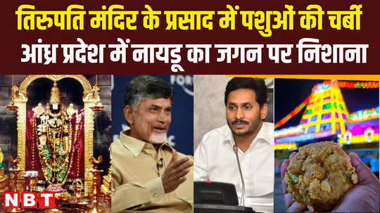 andhra pradesh fumes over andhra cm chandrababu naidu claims animal fat used in tirupati laddoos