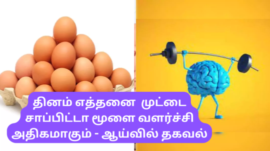 Egg Eating Health Benefits : முட்டை சாப்பிட்டா மூளை வளர்ச்சி, ஞாபக சக்தி அதிகமாகும் - புதிய ஆய்வு உண்மை