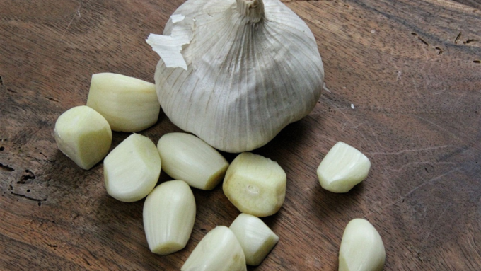 Garlic