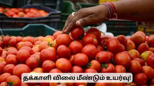 தக்காளி விலை மீண்டும் உயர்வு.. இன்றைய விலைப் பட்டியல்!