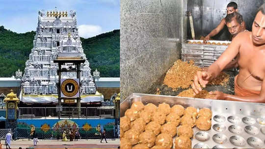 tirupati laddu prasadam : திருப்பதி லட்டு தயாரிக்கும் நெய்யில் தரமில்லாதது  உண்மை தான் : தேவஸ்தானம் அதிர்ச்சி தகவல்