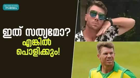 david warner with allu in pushpa 2 report