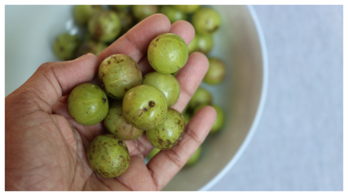 ನೆಲ್ಲಿಕಾಯಿಯನ್ನು ಪ್ರತಿನಿತ್ಯ ಈ ರೀತಿ ಸೇವನೆ ಮಾಡಿ 