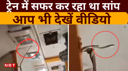 snake found in jabalpur mumbai garib rath train watch video