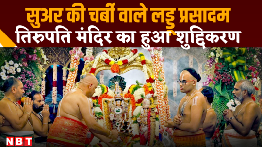 tirupati laddu controversy animal fat beef watch video of temple purification in andhra pradesh