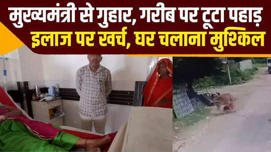 jaipur woman injured in cow attack remains critical family faces financial crisis husband seeks help from cm bhajan lal sharma