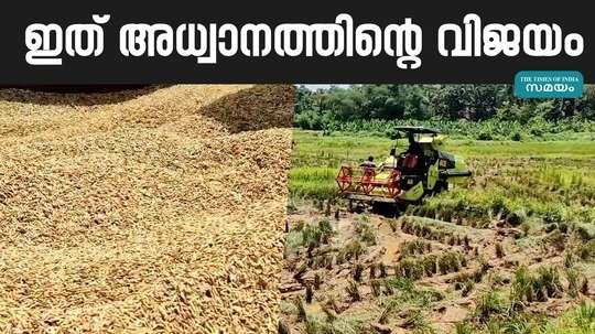 paddy cultivation palakkad vilayur farming news