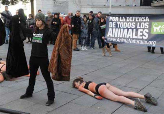 न करें जानवरों की हत्या