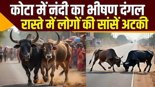 rajasthan kota viral video of fierce bull fight in city people on the way were so afraid