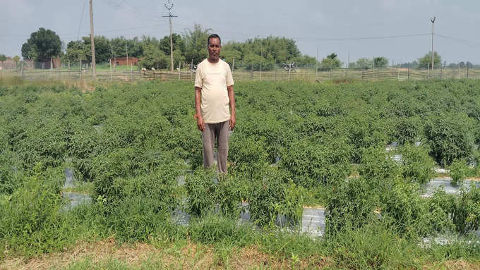 ​बारिश से फसल को कुछ नुकसान भी पहुंचा