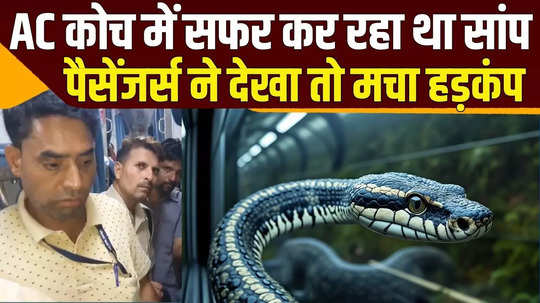 snake was found in train at kota railway station watch video during panic among the passengers