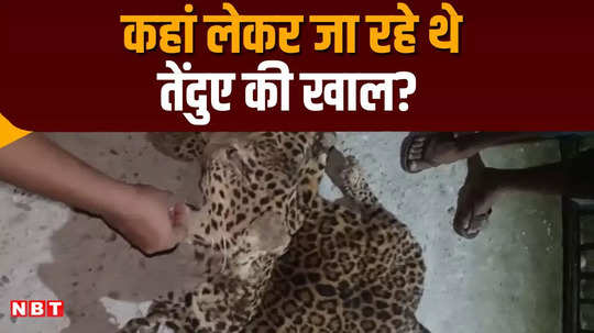 two smugglers arrested with leopard skin in bettiah deal worth rs 10 lakh done in kolkata