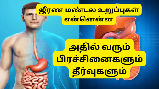 Common Digestive Issues : ஜீரண மண்டலத்தில் உள்ள உறுப்புகள் என்னென்ன - அதில் ஏற்படும் பிரச்சினைகளும் தீர்வுகளும்