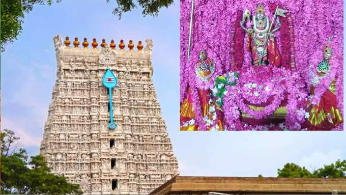 திருச்செந்தூர் சூரசம்ஹாரம் :