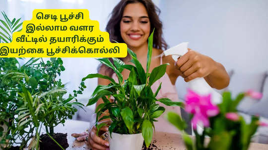 Homemade Garden Spray: வீட்டு செடியில் பூச்சியா, கவலையை விடுங்க.. இயற்கை பூச்சிக்கொல்லி வீட்டிலேயே தயாரிக்கலாம்.. செடி ஓஹோன்னு வளரும்..!