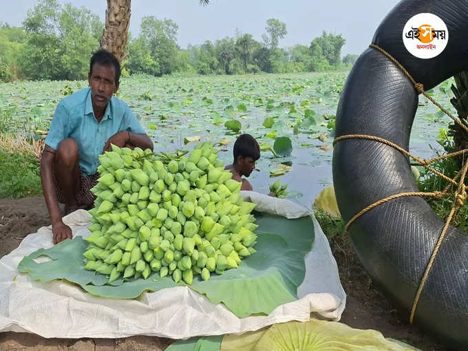 ​চাপের মুখেও বায়না​