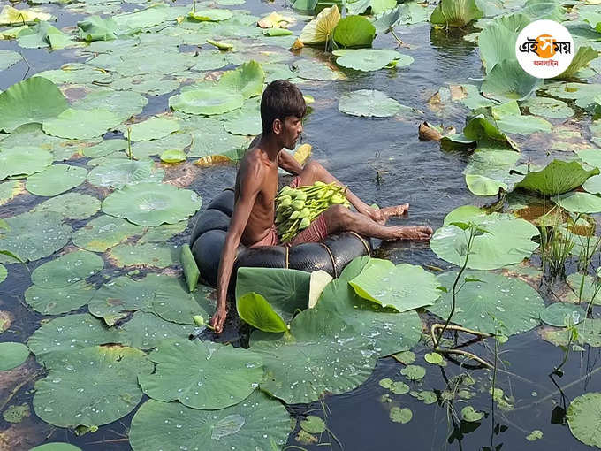 ​মাথায় হাত চাষিদের​