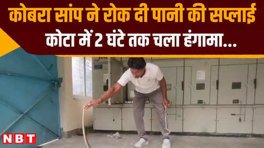 cobra snake stopped the water supply in kota city for 2 hours know why