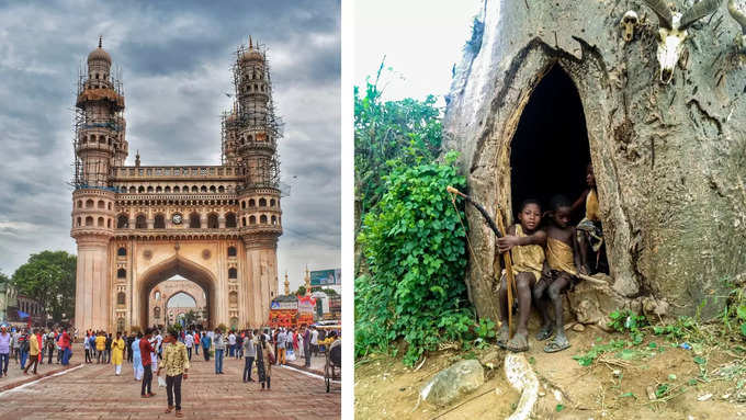 कहां है ये पेड़, जहां बना टूरिस्ट प्लेस