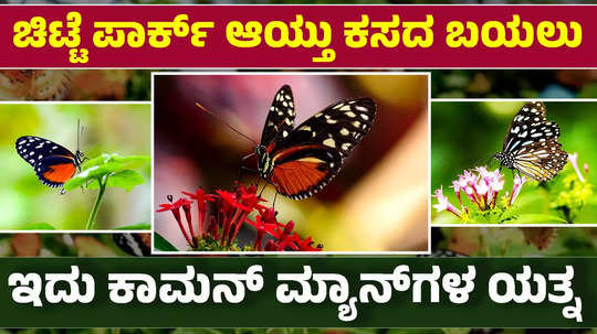 butterfly park created by two friends in mangaluru near karavali utsav field earlier used as dumping yard