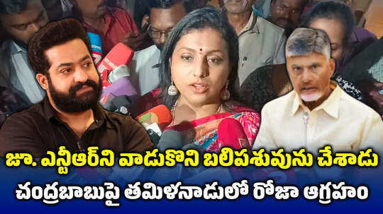 ex minister rk roja comments on chandrababu naidu over tirumala laddu issue