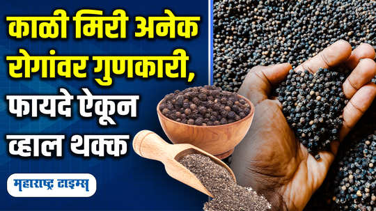 know the benefits of eating black pepper it can cure many diseases in marathi watch video