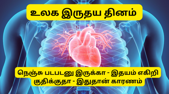 World Heart Day 2024 : இதயம் படபடனு வருது, எகிறி குதிக்குதா - காரணம் என்ன,  எதிர்காலத்தில் இதய நோய் வருமா வாங்க தெரிஞ்சிக்கலாம்