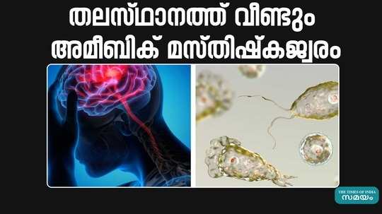 again amoebic encephalitis has been confirmed in thiruvananthapuram