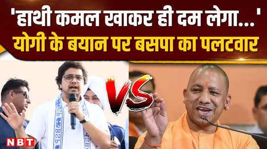 haryana assembly elections were interesting akash anand countered on cm yogis statement