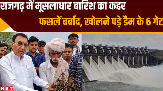 heavy rainfall wreaks havoc in rajgarh soyabean crop damage and mohanpura dam gate open to maintan water lavel