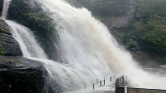 தென்காசியில் வெளுத்து வாங்கிய கனமழை... குற்றால அருவிகளில் சுற்றுலா பயணிகள் குளிக்க தற்காலிகமாக தடை!