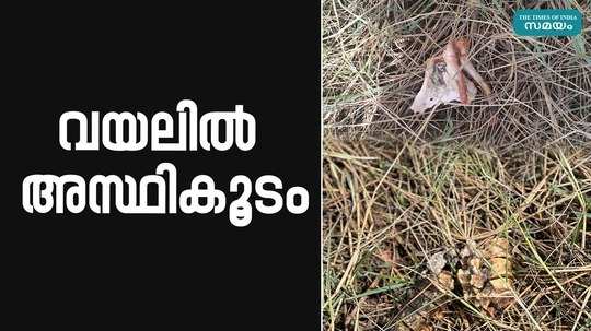 human skeleton found in thrissur news