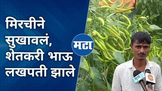 a farmer who cultivated chilli became a millionaire from beed