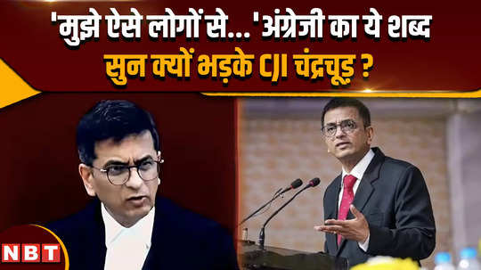 cji chandrachud got enraged after hearing which english word during the hearing in the supreme court