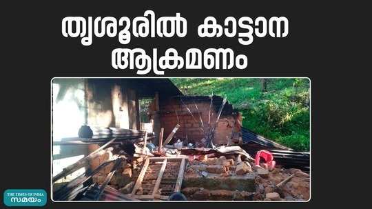 wild elephant destroyed house in thrissur