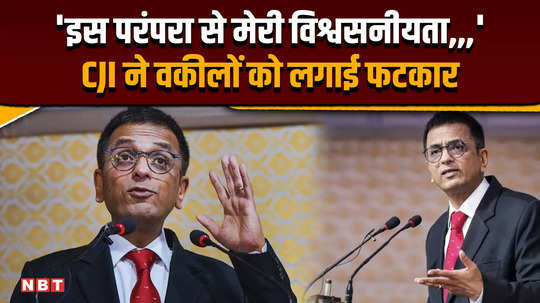 cji chandrachud gets angry again in the supreme court reprimands the lawyers during the hearing