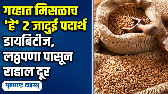 mix these nutrients before grinding wheat for healthy chapati and weight loss with get rid of blood sugar diabetes in marathi watch video