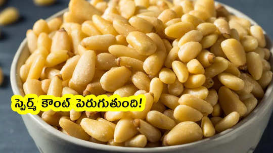 Pine Seeds: ఈ చిన్న గింజల్లో సూపర్ పవర్.. తెలిస్తే వెంటనే మగవారు తింటారు..