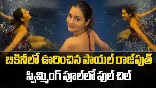 payal rajput bikini swimming pool video